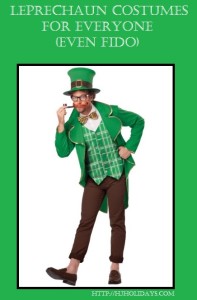 Leprechaun Costumes for Everyone (Even Fido) | http://hjholidays.com