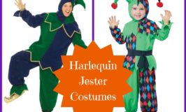 Harlequin Jester Costumes for Mardi Gras