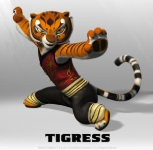 Our Master Tigress costume inspiration